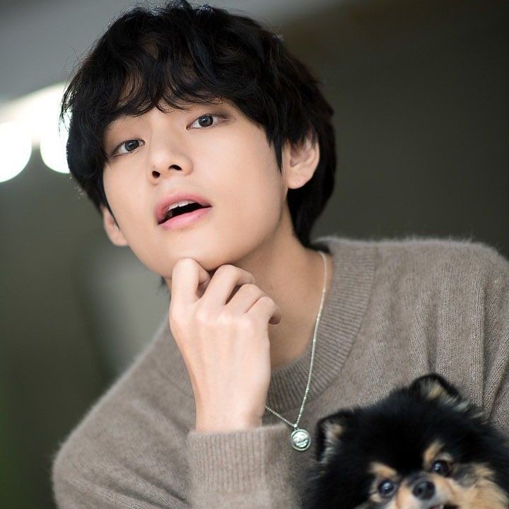 Behind-the-scenes cut of V (BTS)