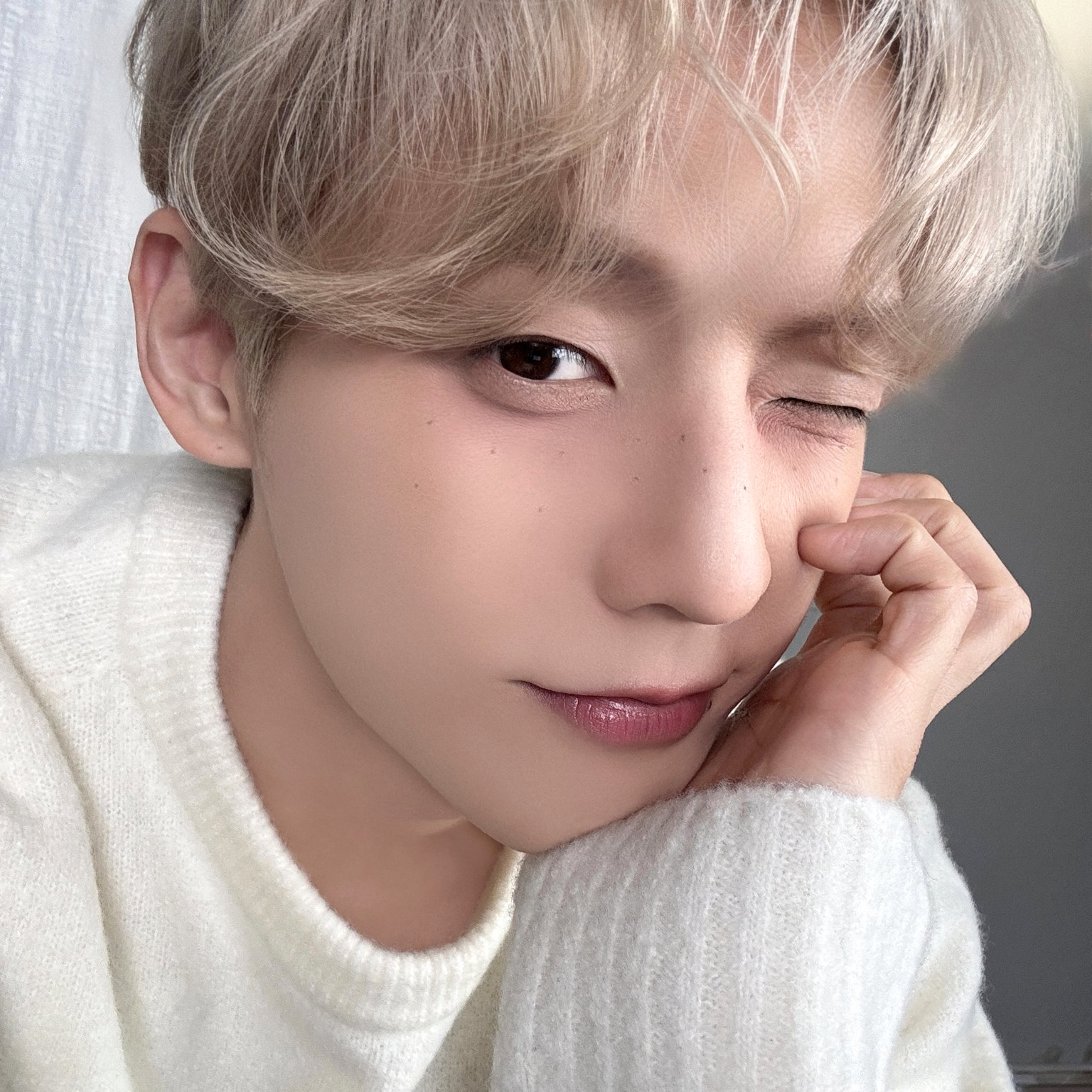 이민혁 (비투비) 팬이 찍은 순간