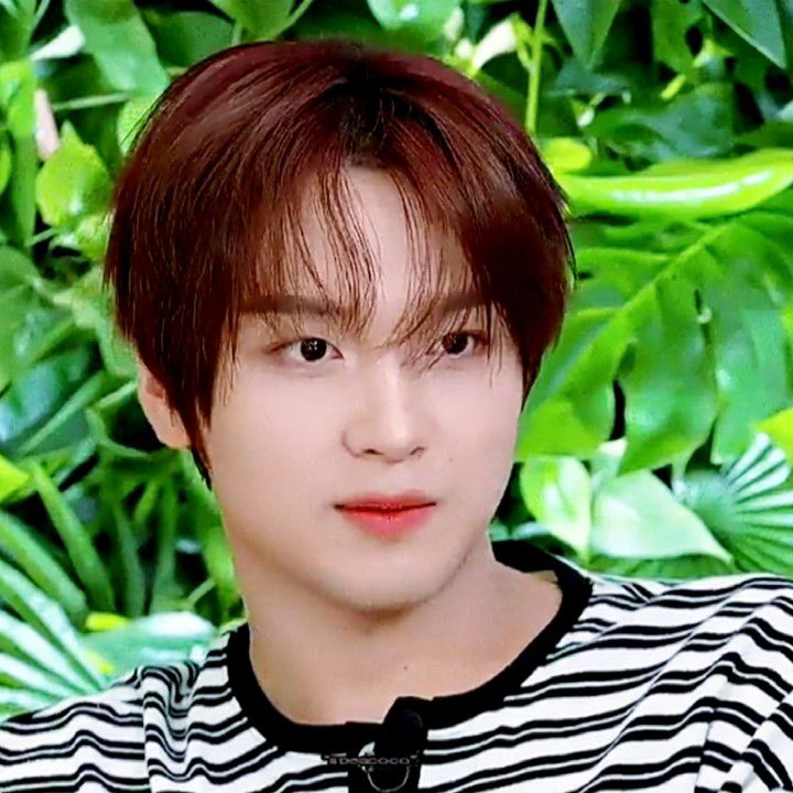 楷灿 (NCT 127, NCT DREAM)的最新照片