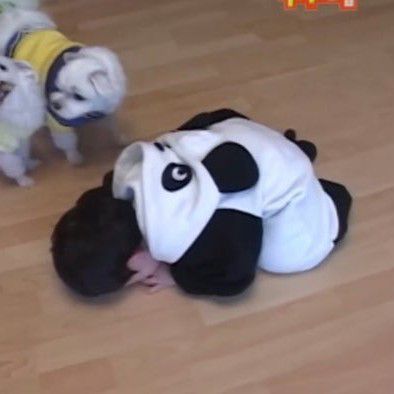 Recent activity shot of Chung Sanghyeon (ALPHA DRIVE ONE)