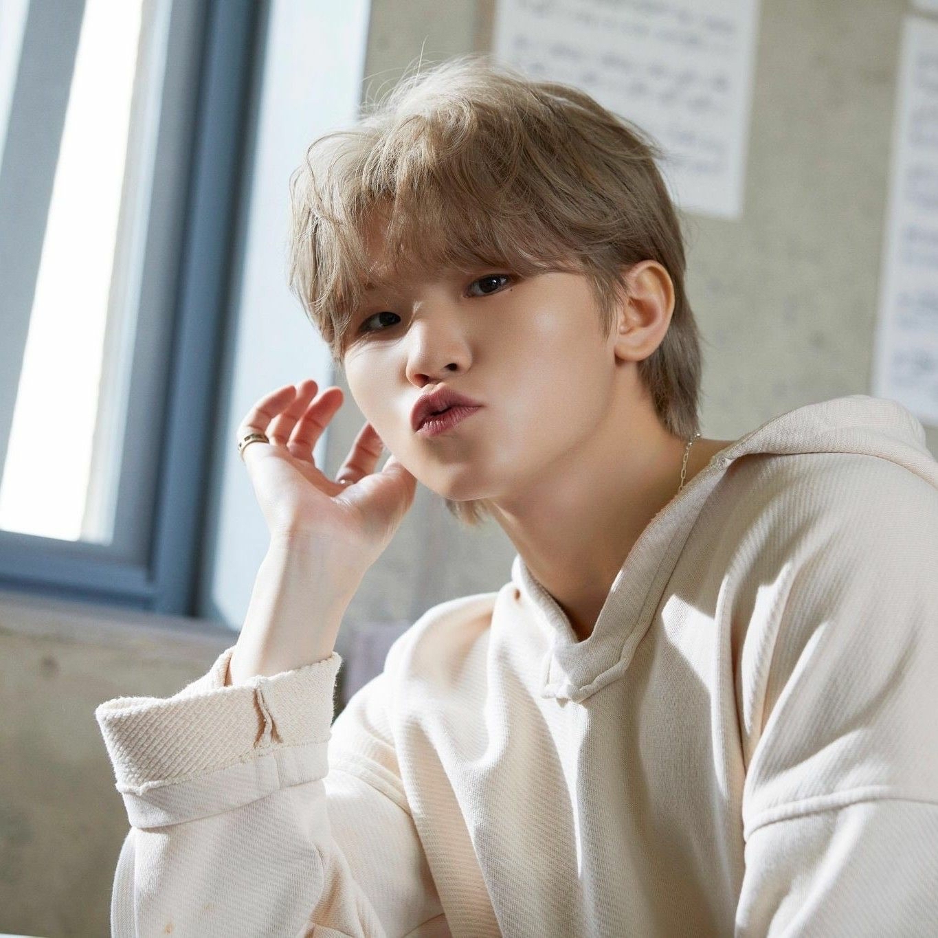 세븐틴 팬이 찍은 순간