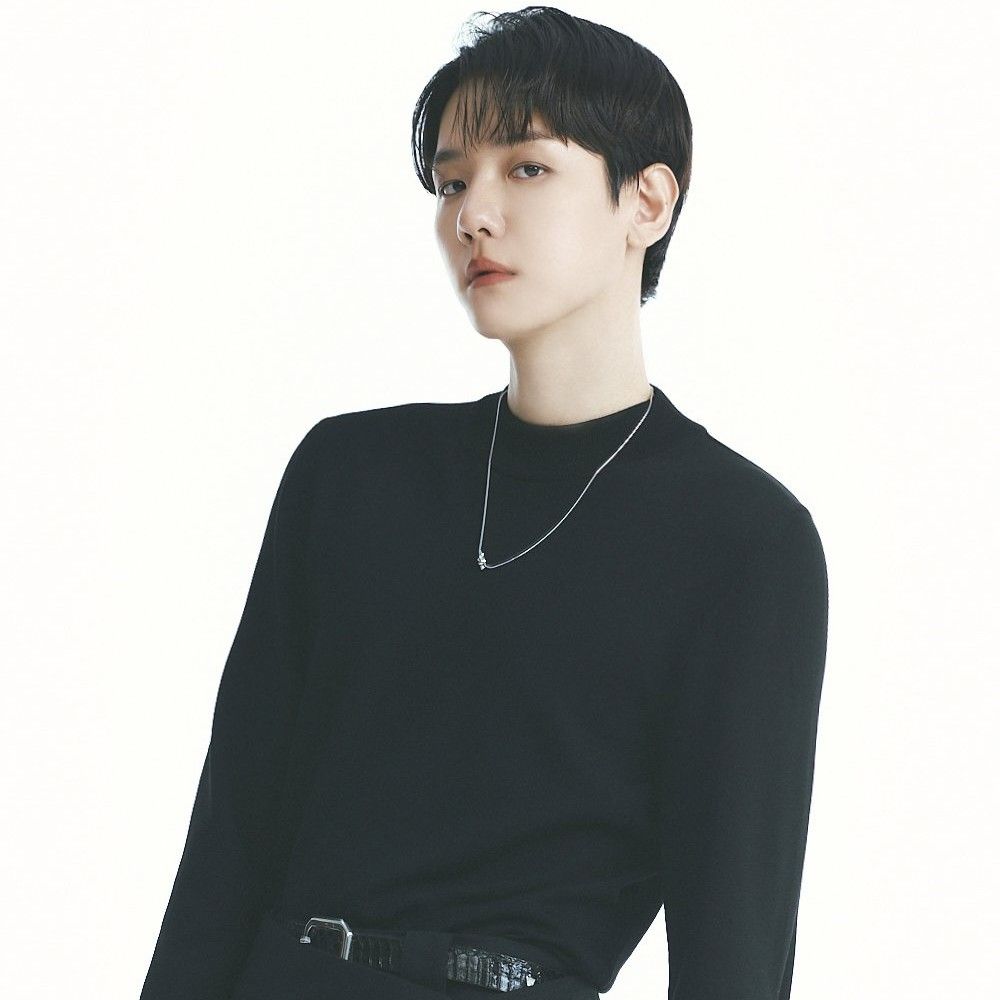 백현 (EXO) 팬이 찍은 순간