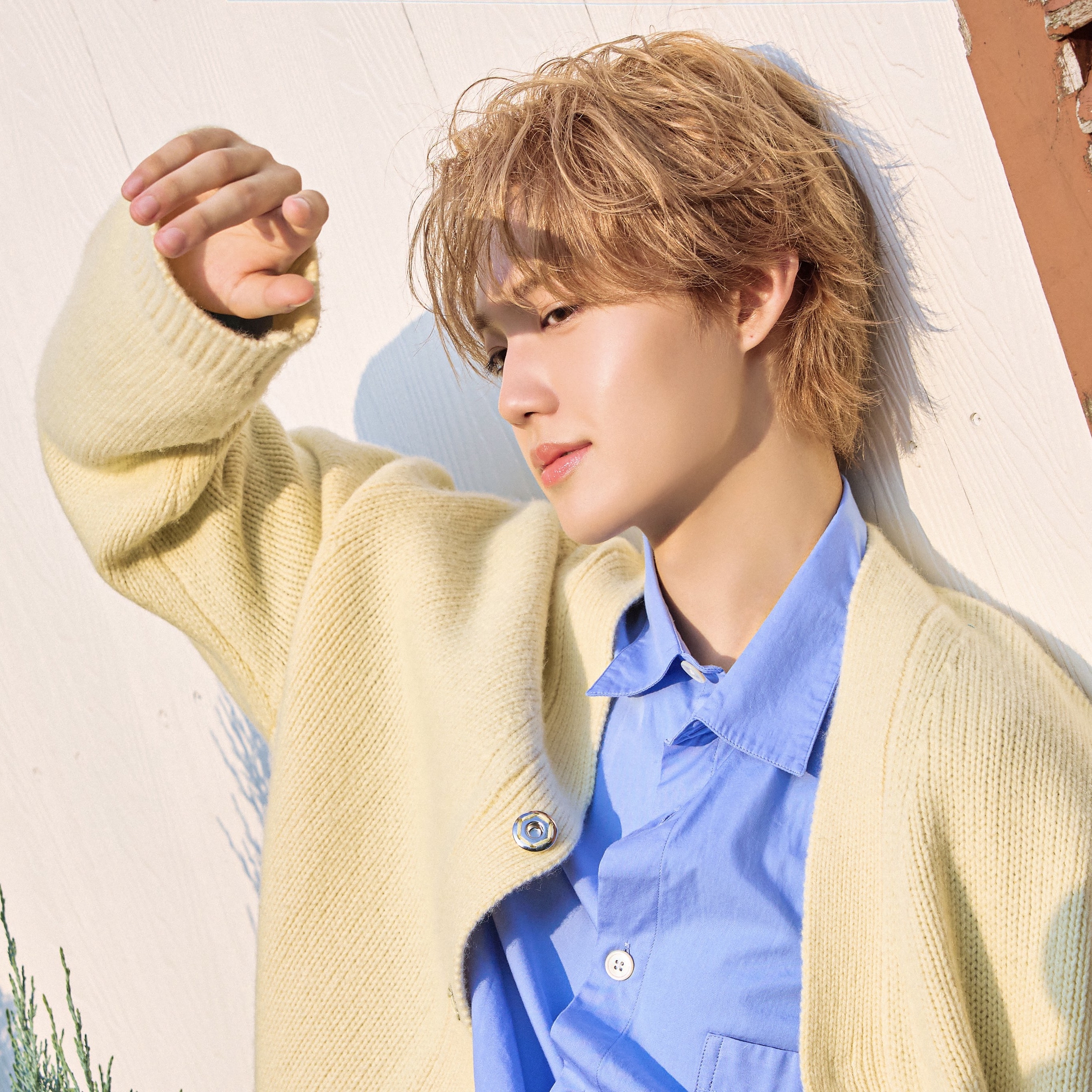 Recent activity shot of Doyoung (TREASURE)