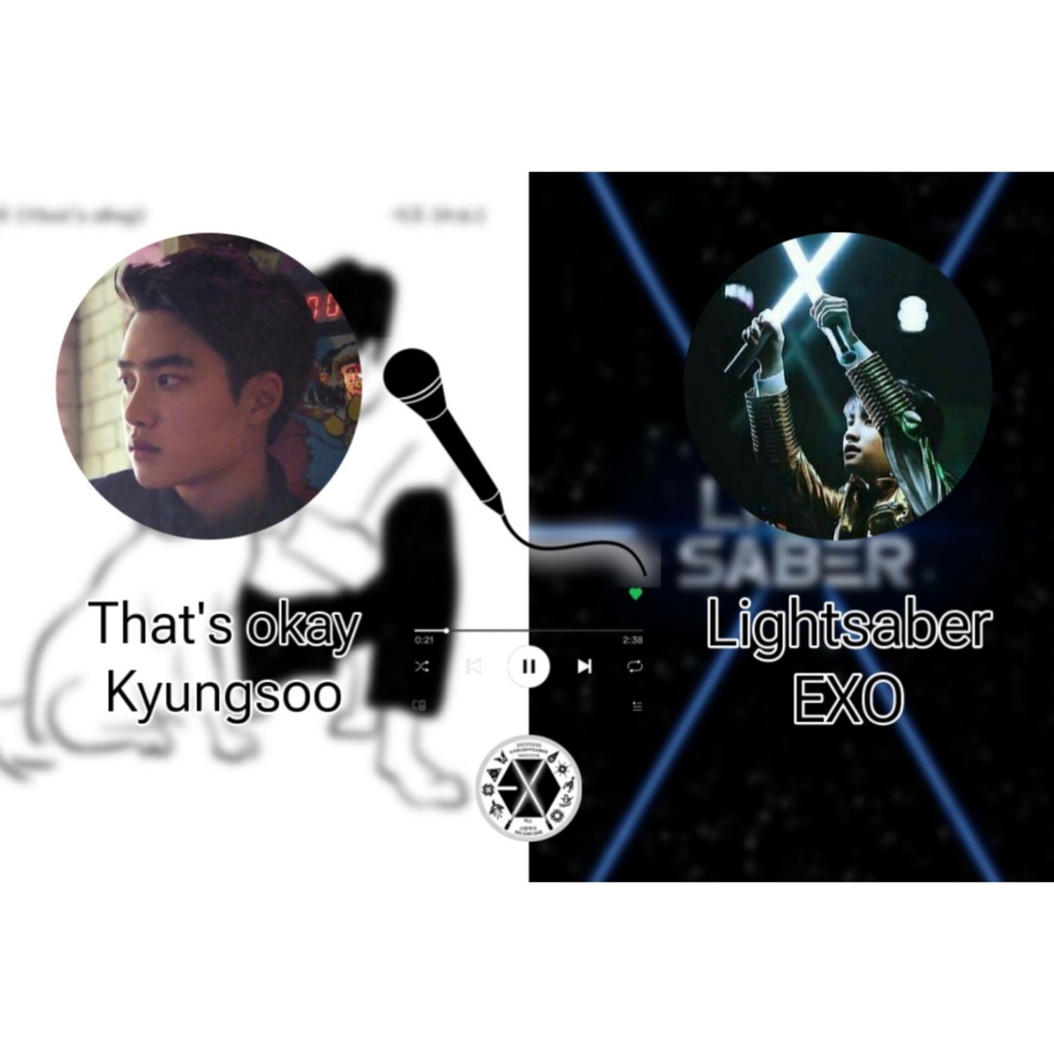 EXO 팬이 찍은 순간