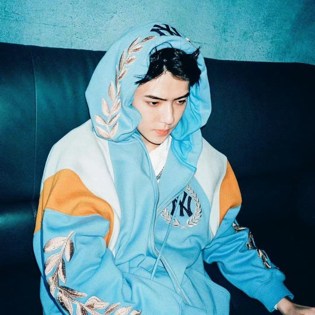 世勳 (EXO)粉絲拍下的瞬間