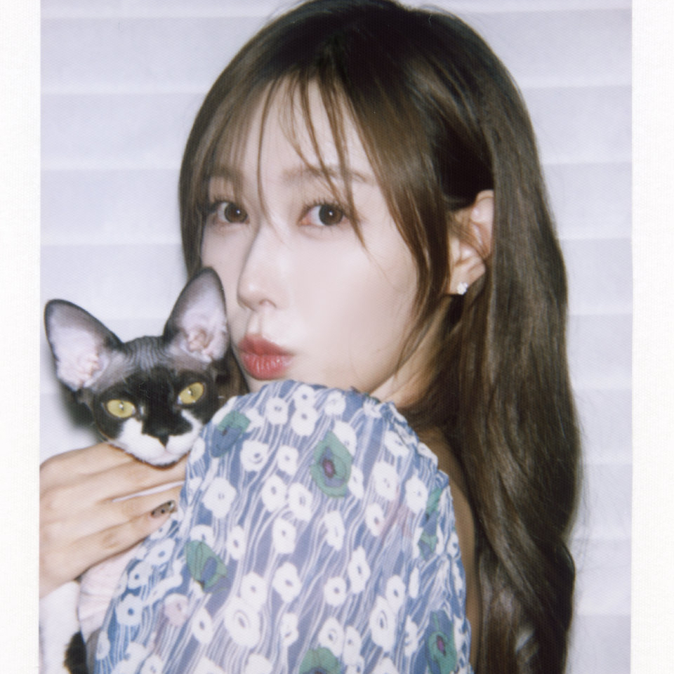 DREAMCATCHER的幕后花絮