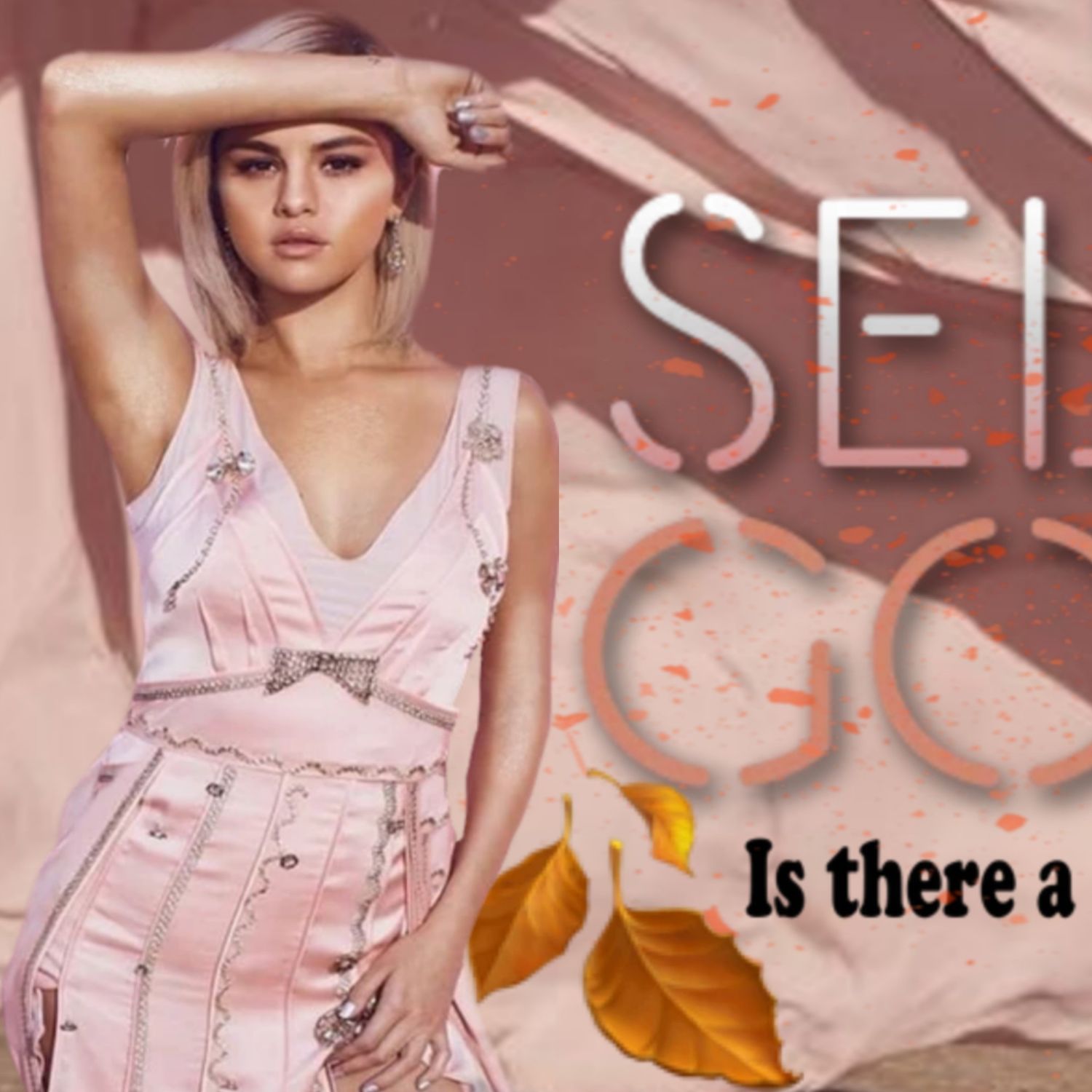 A moment captured by Selena Gomez's fan
