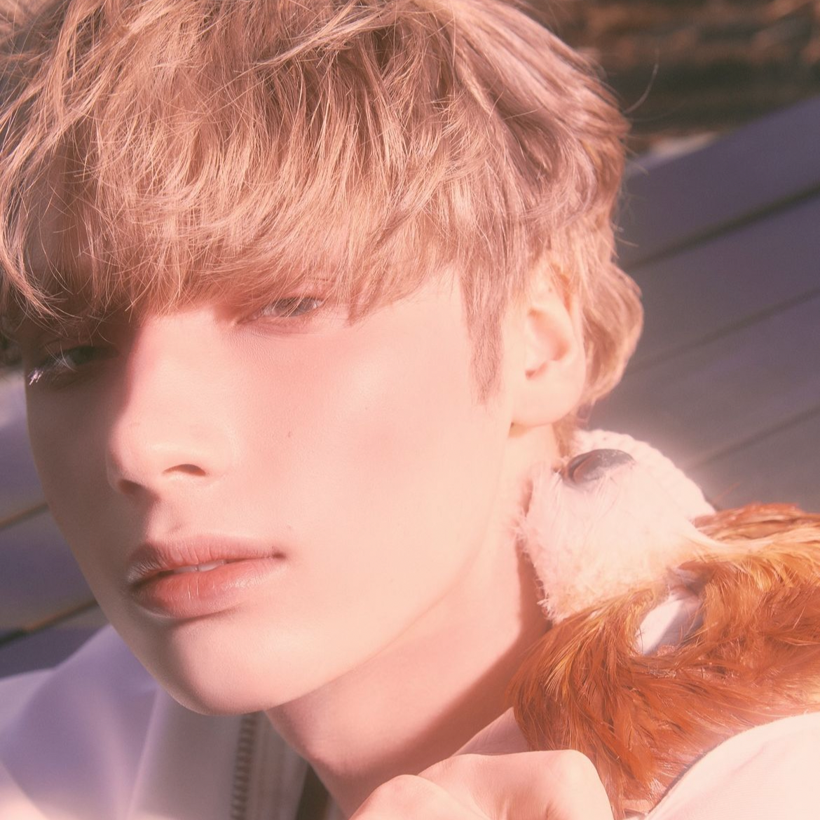 A moment captured by HueningKai (TOMORROW X TOGETHER)'s fan