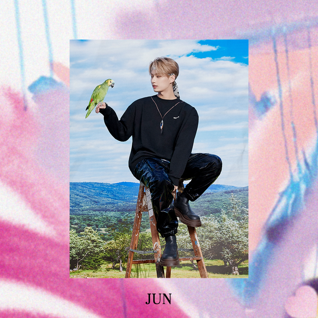 Recent activity shot of SEVENTEEN