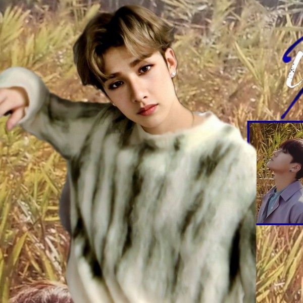 방찬 (Stray Kids) 팬이 찍은 순간