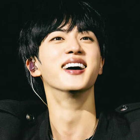 A moment captured by Jin (BTS)'s fan