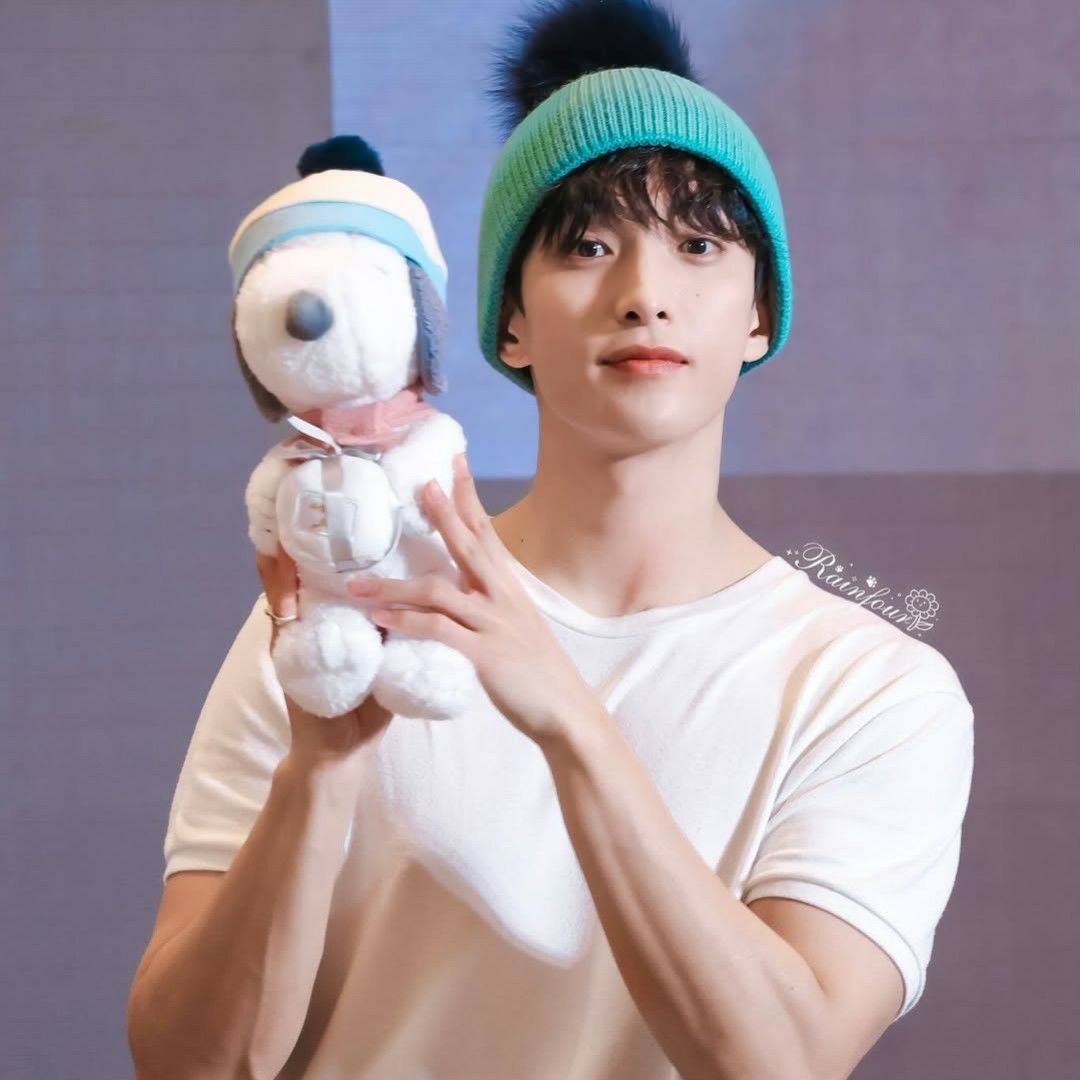 A moment captured by DK (SEVENTEEN)'s fan