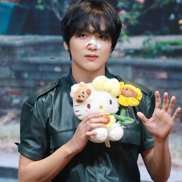 NCT DREAM NCT 127 ヘチャン　イコムド　30cm NCT127 NCT DREAM ヘチャン ぬいぐるみ イコムド セット売り