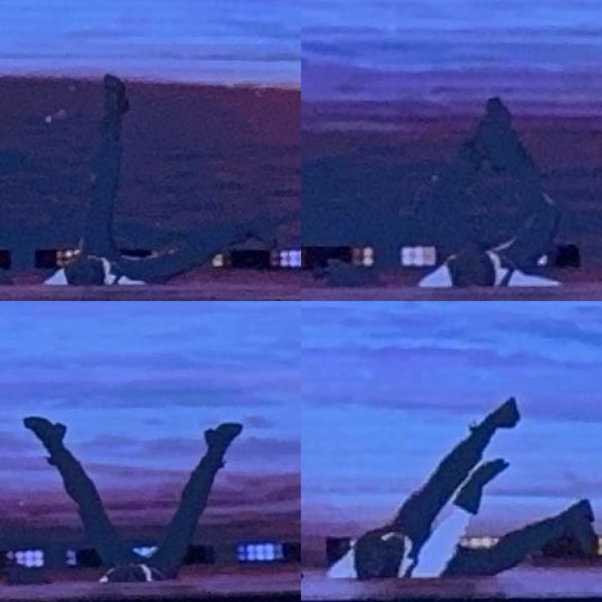 A moment captured by Hamin (PLAVE)'s fan