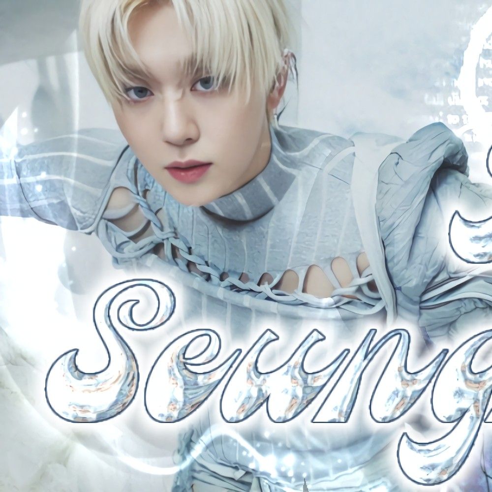 세븐틴 팬이 찍은 순간