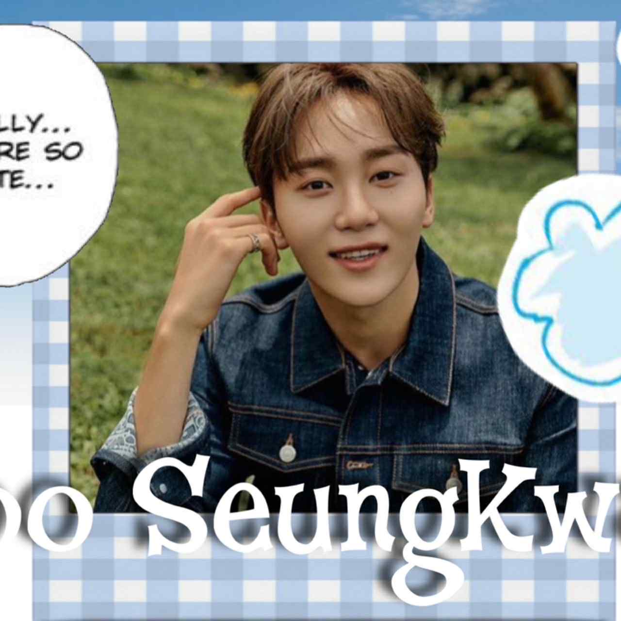 승관 (세븐틴) 팬이 찍은 순간