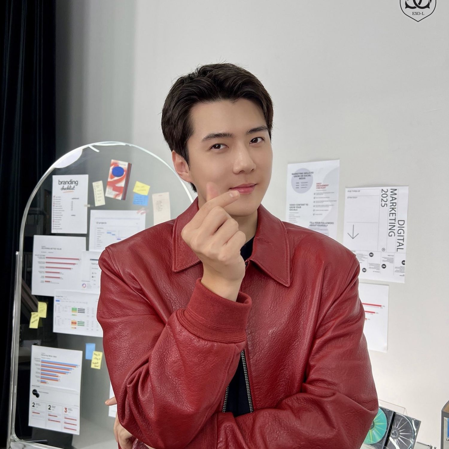 A moment captured by EXO's fan