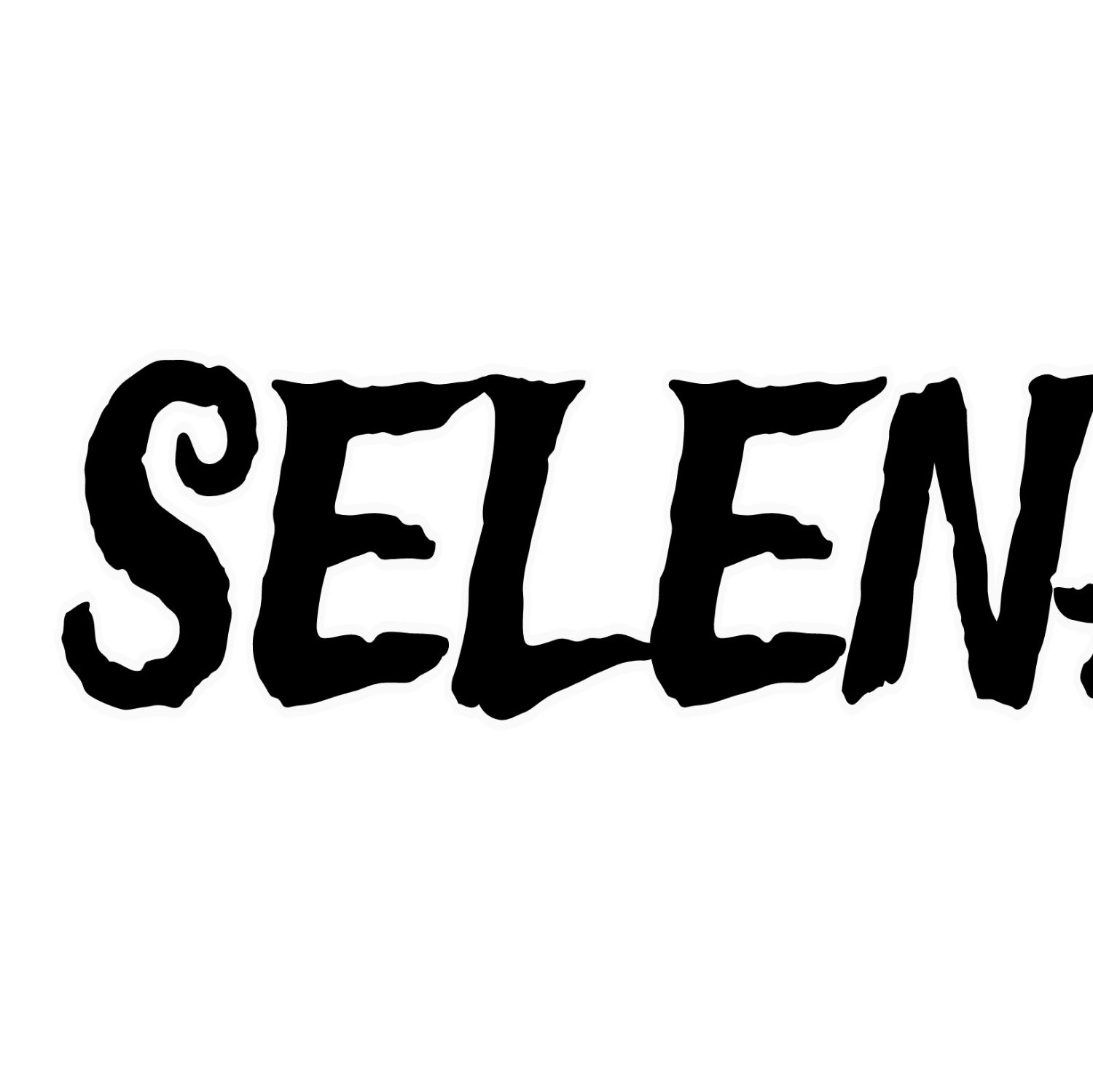 A moment captured by Selena Gomez's fan