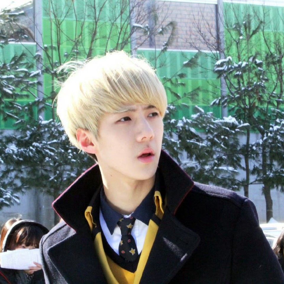 世勳 (EXO)粉絲拍下的瞬間