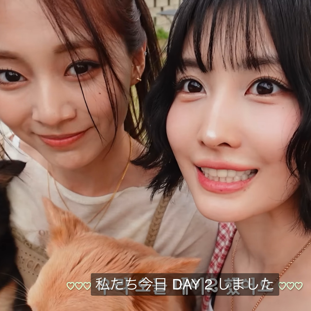 모모 (TWICE) 최근 활동샷