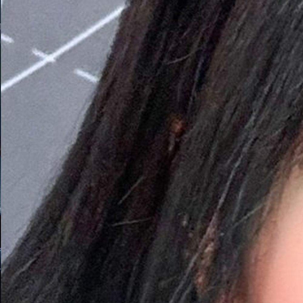 A moment captured by HaSeul (ARTMS)'s fan