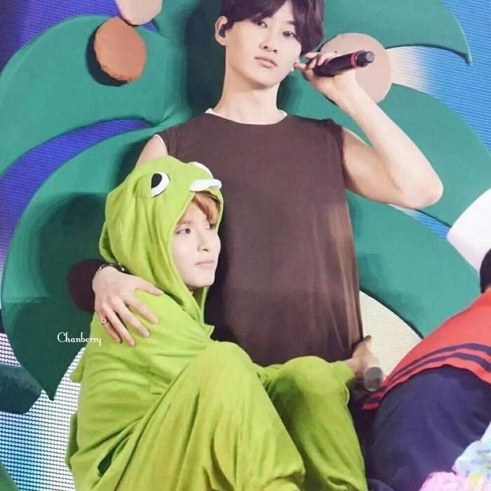 A moment captured by Super Junior's fan