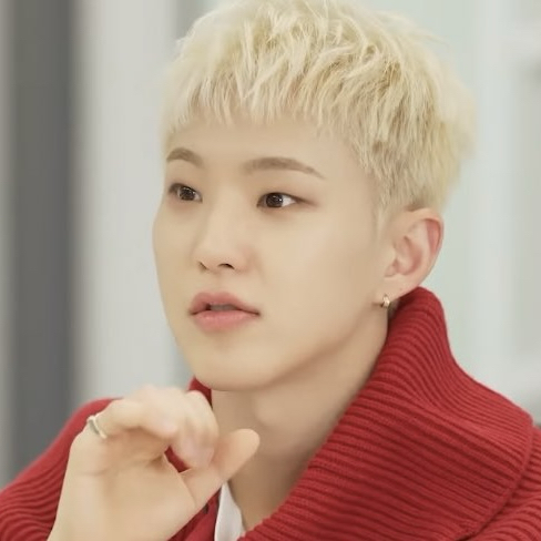 호시 (세븐틴)의 최신 사진