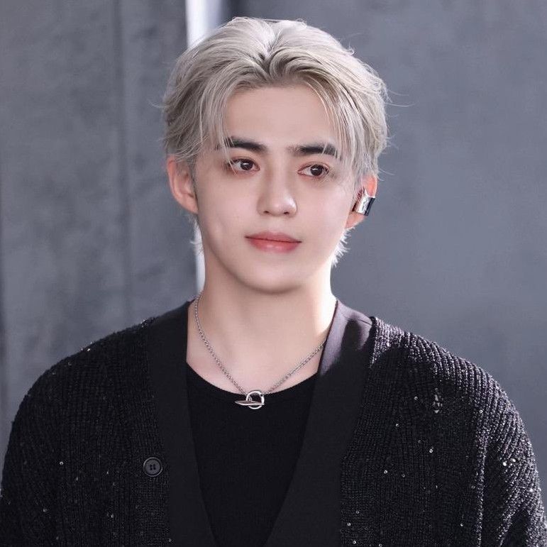 Recent activity shot of S.Coups (SEVENTEEN)