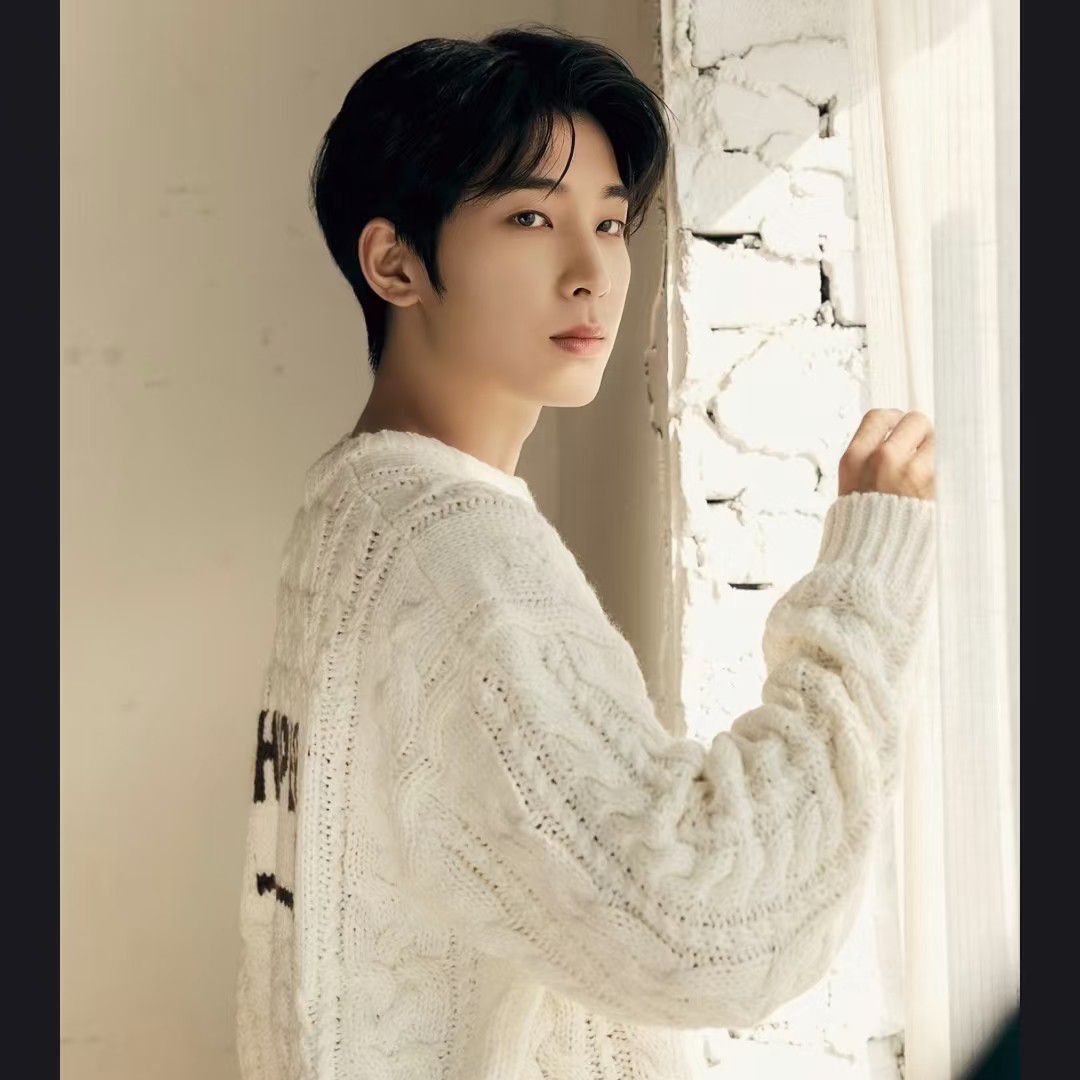 A moment captured by Wonwoo (SEVENTEEN)'s fan