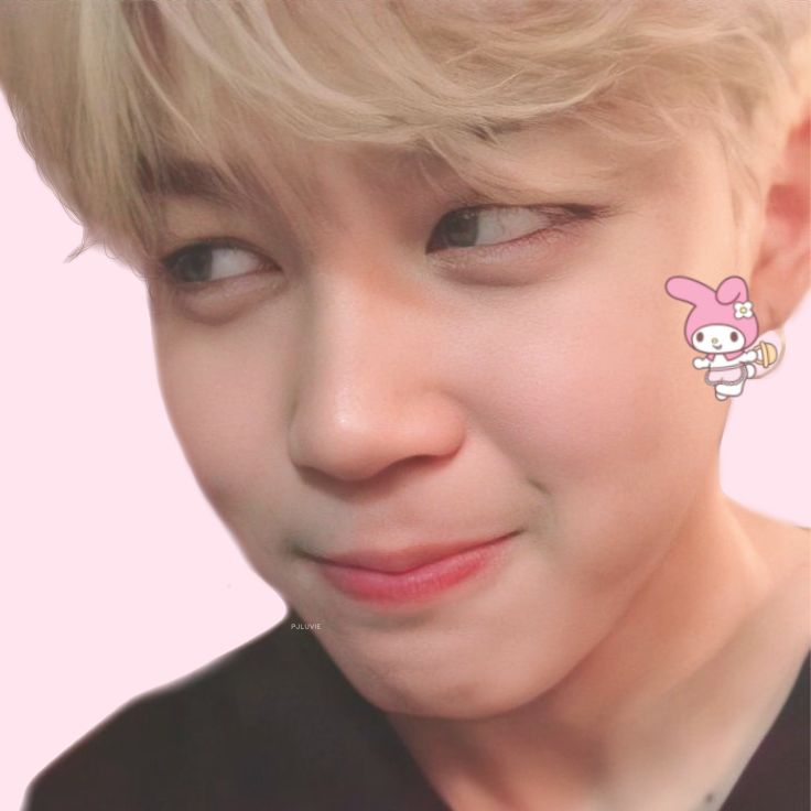 A moment captured by Jimin (BTS)'s fan