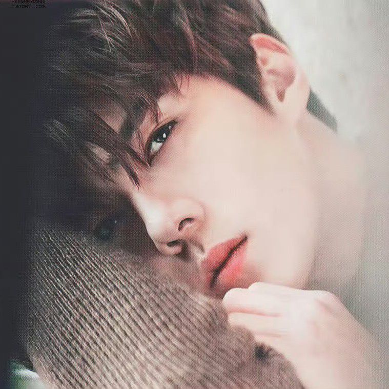 Recent activity shot of Sehun (EXO)