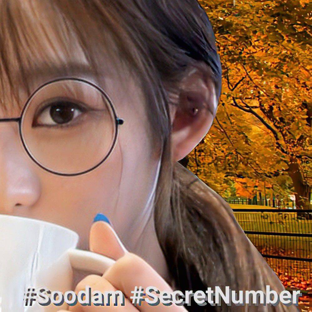 Recent activity shot of Soodam (SECRET NUMBER)