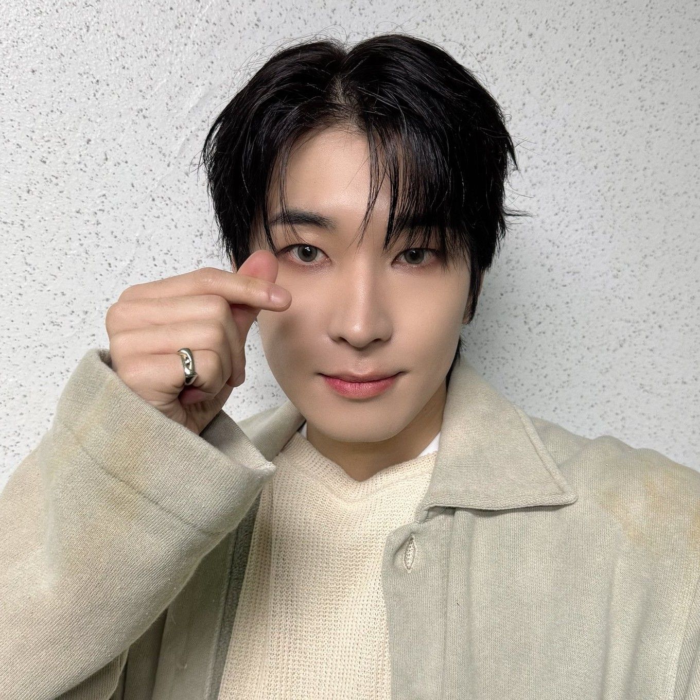 Recent activity shot of Wonwoo (SEVENTEEN)