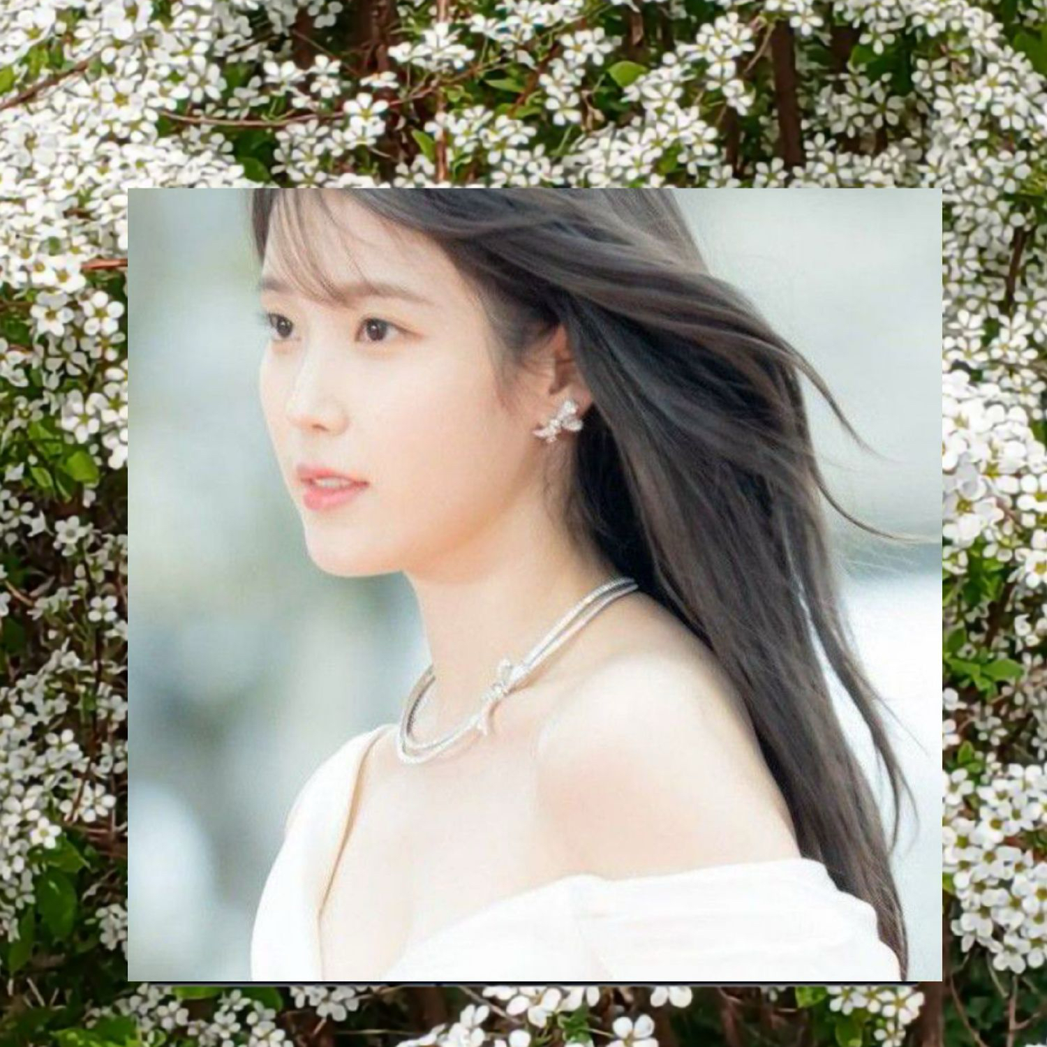 A moment captured by IU's fan
