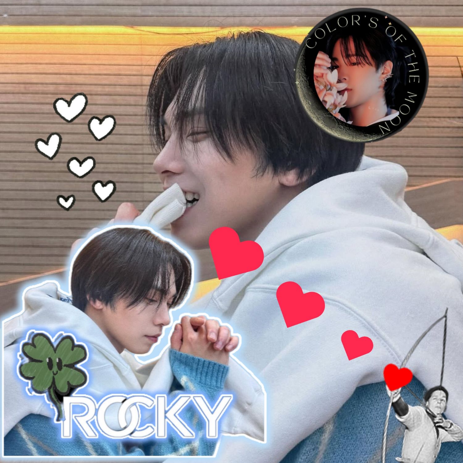 Recent activity shot of Rocky