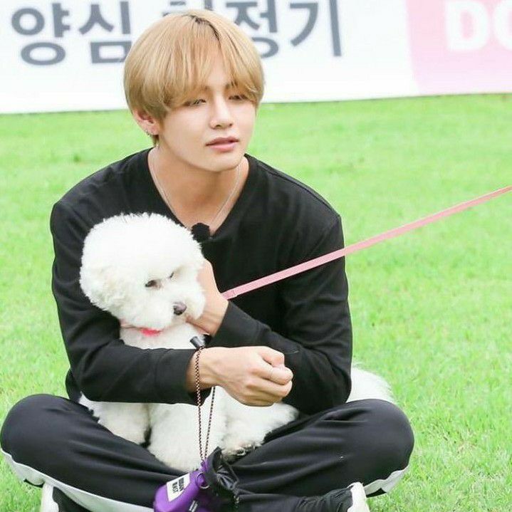 뷔 (방탄소년단) 최근 활동샷