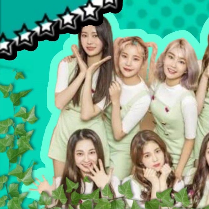 Recent activity shot of MOMOLAND