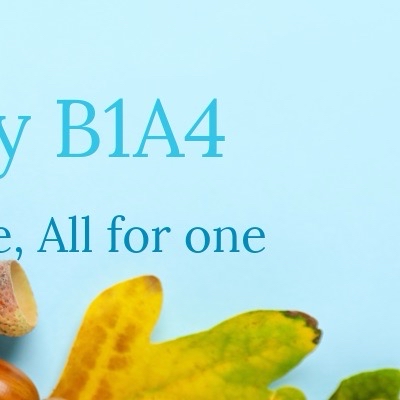 A moment captured by B1A4's fan