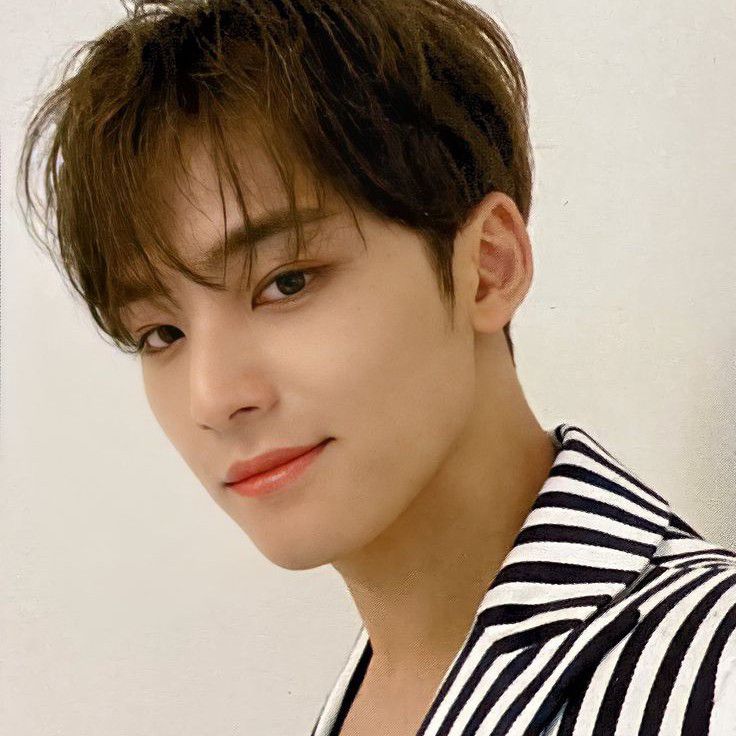 A moment captured by Mingyu (SEVENTEEN)'s fan