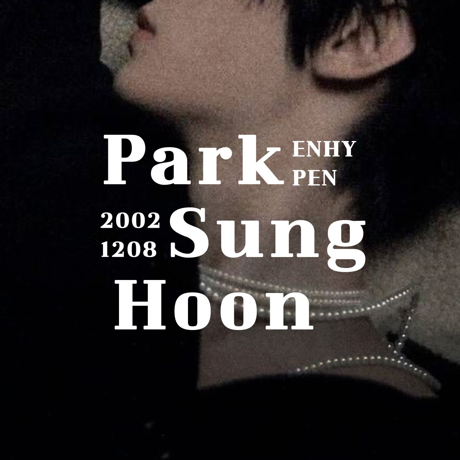 Recent activity shot of Sunghoon (ENHYPEN)