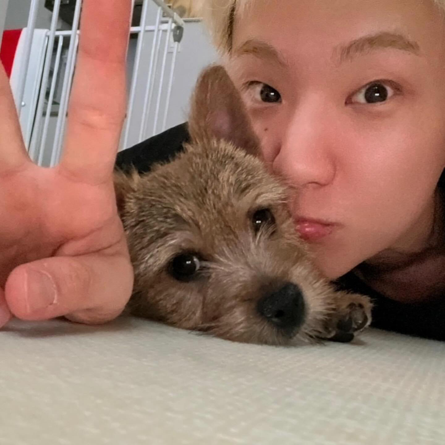 A moment captured by Hoshi (SEVENTEEN)'s fan