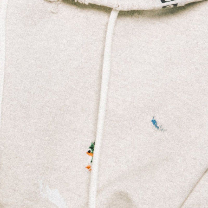 Latest photo of Rioto (ARrC)