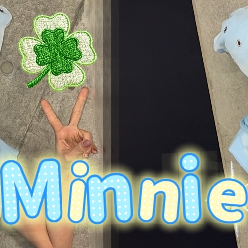 ミンニ (i-dle)ファンが撮った瞬間