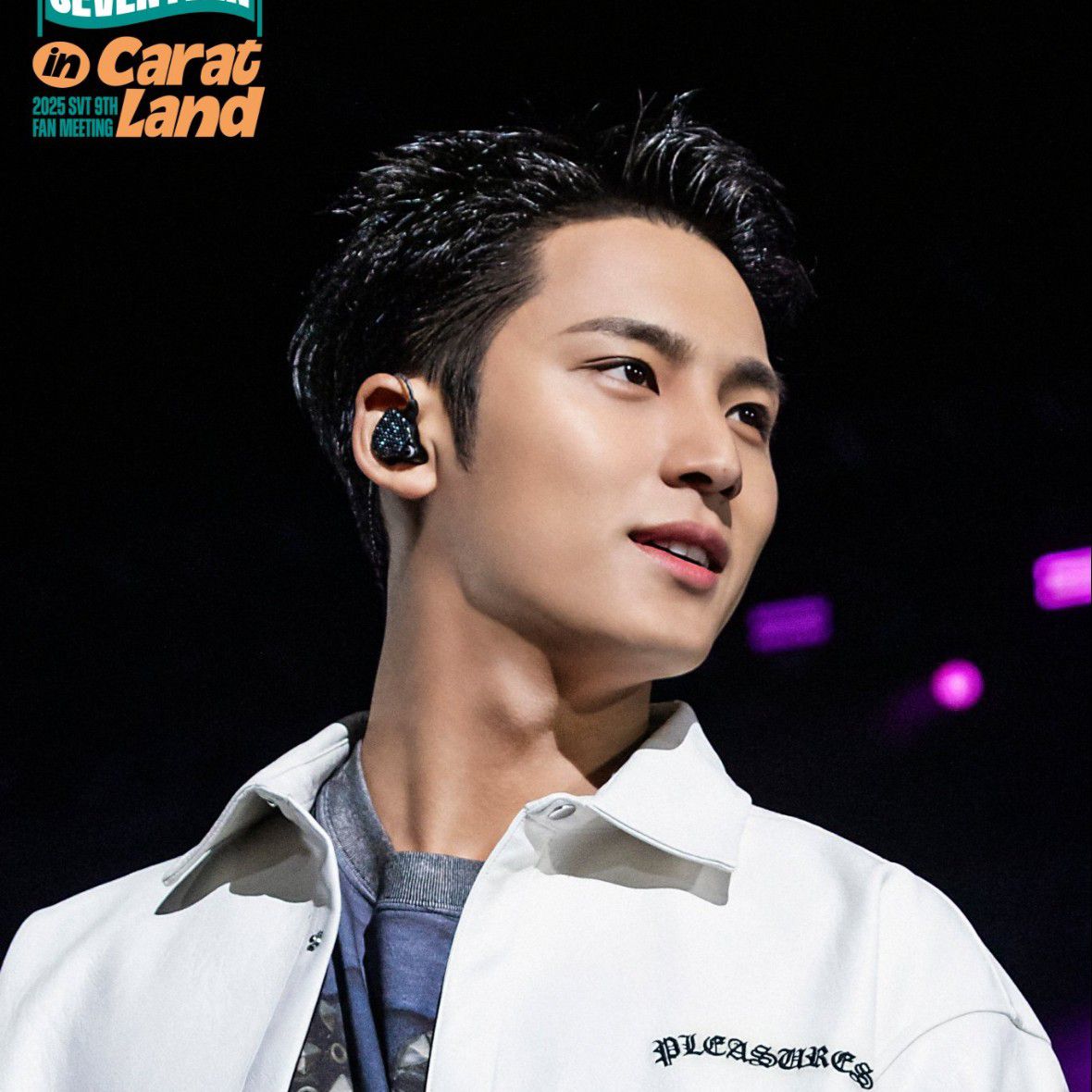 세븐틴 팬이 찍은 순간