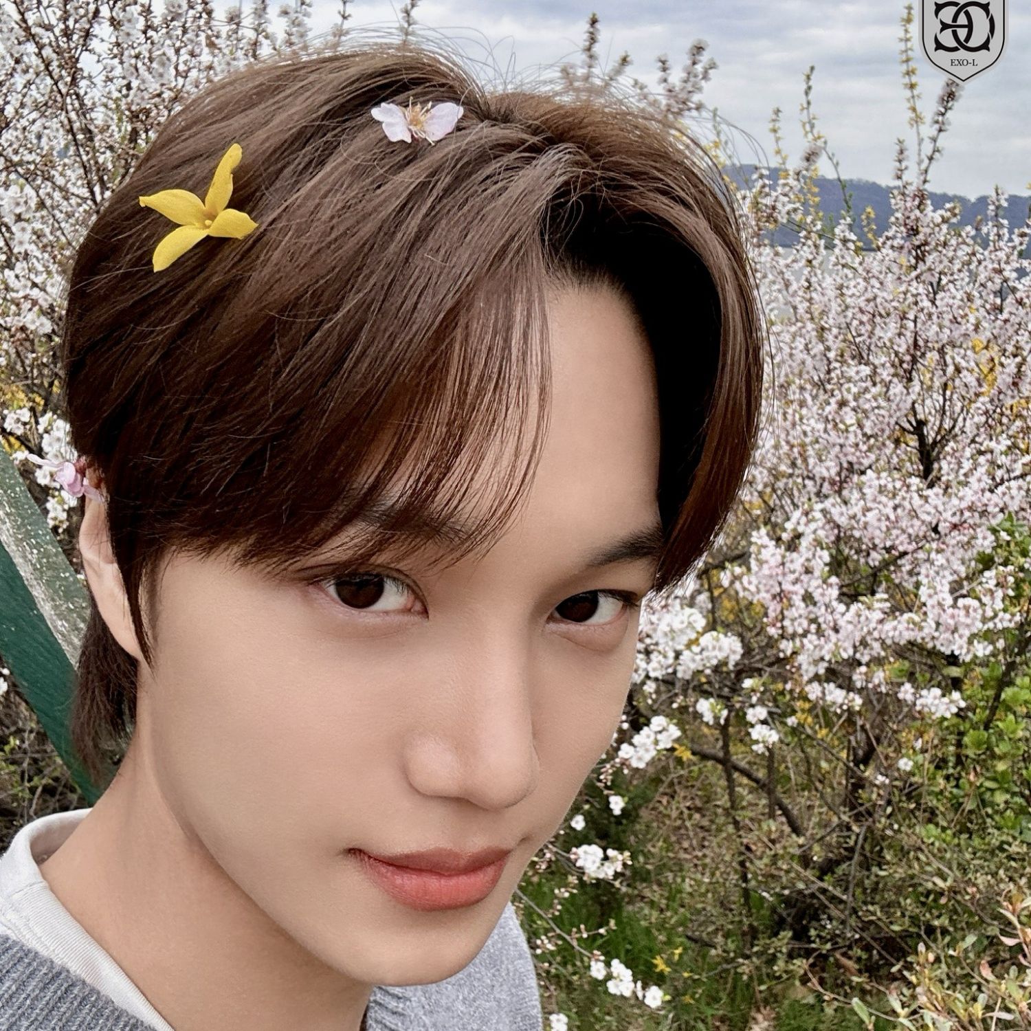 Recent activity shot of Kai (EXO)