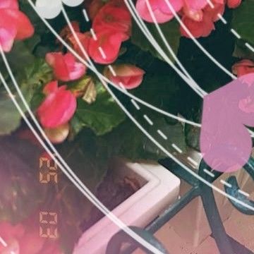 A moment captured by Siyeon (DREAMCATCHER)'s fan