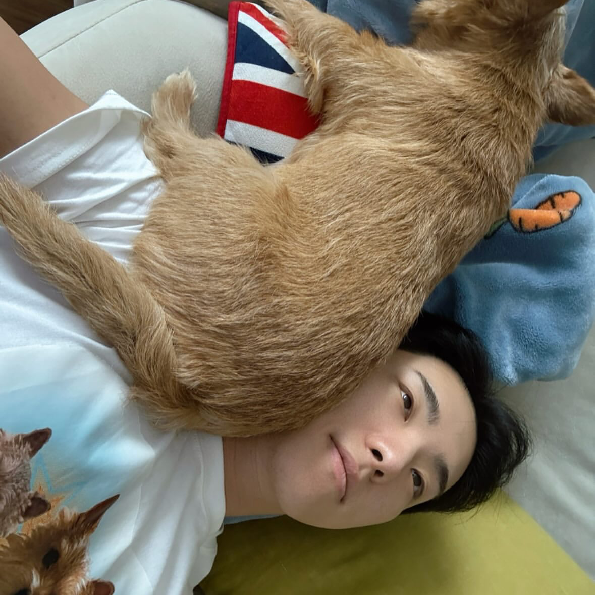 A moment captured by Hoshi (SEVENTEEN)'s fan