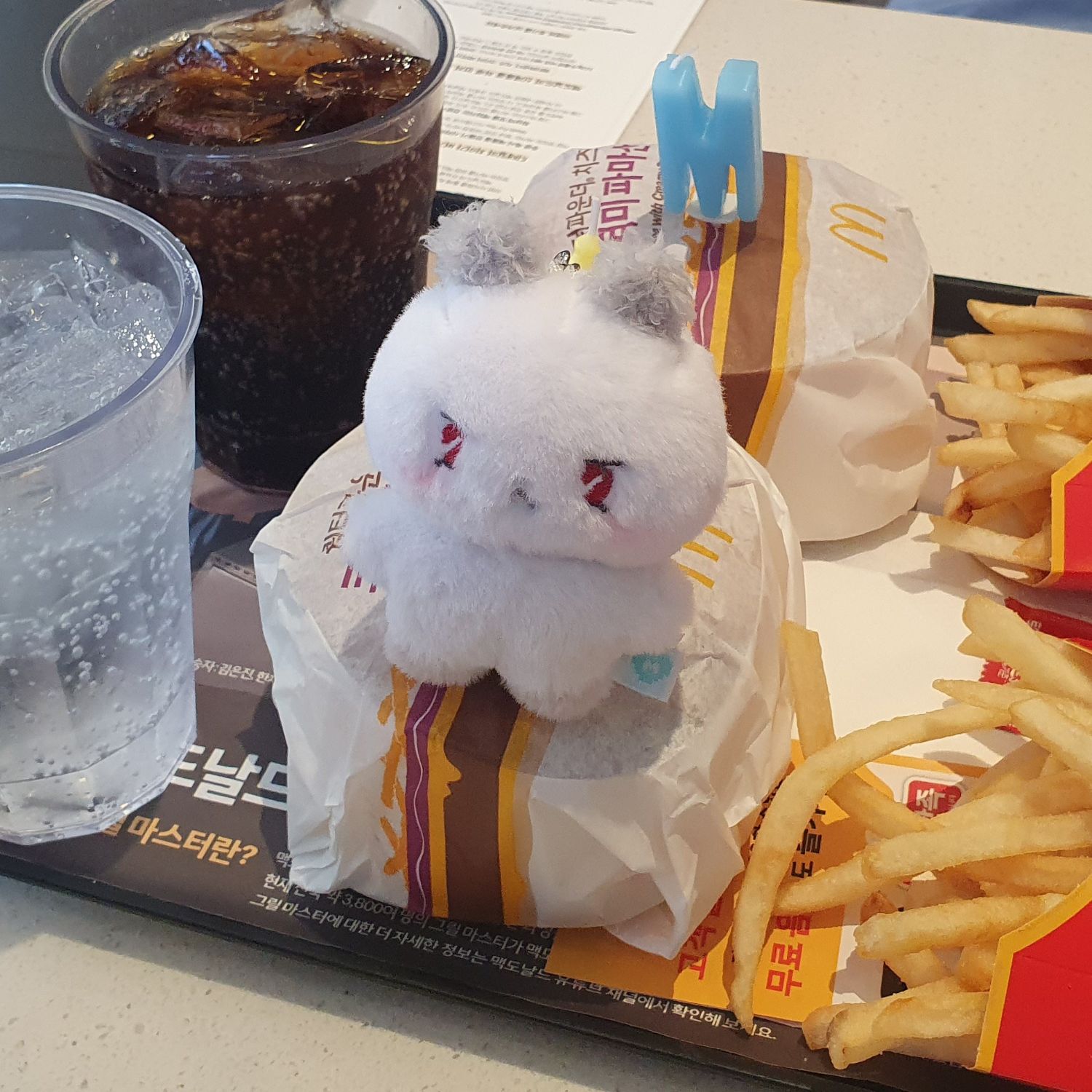 은호 (플레이브) 팬이 찍은 순간