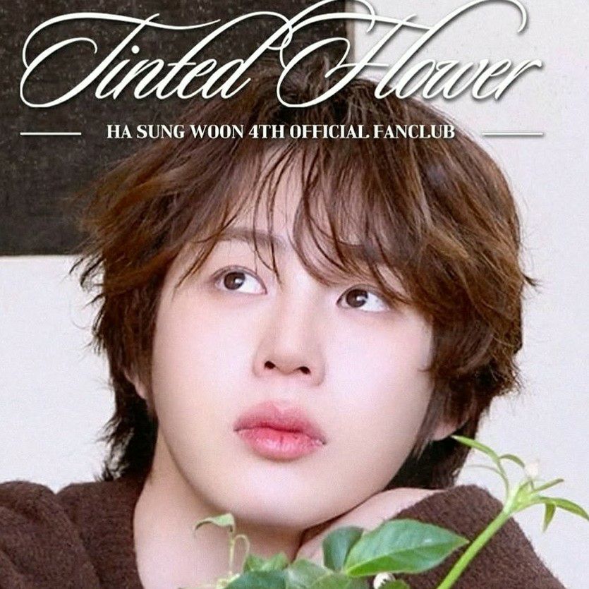 ハ・ソンウンファンが撮った瞬間