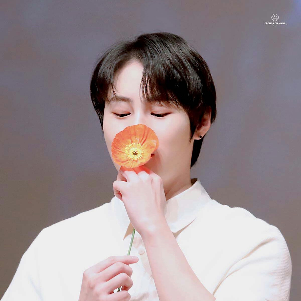 Behind-the-scenes cut of Ha Sungwoon